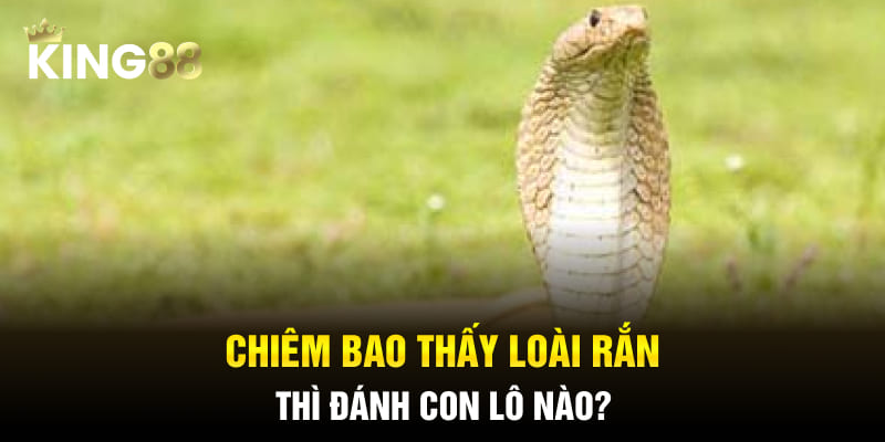 Chiêm bao thấy loài bò sát thì đánh con lô nào?